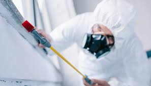 Best Residential Pest Control  in East Norwich, NY